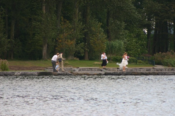 Click for the original image