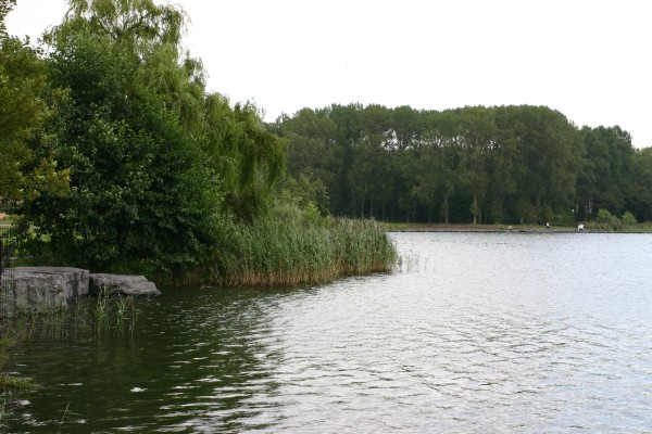 Click for the original image