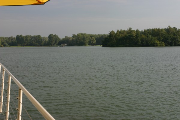 Click for the original image