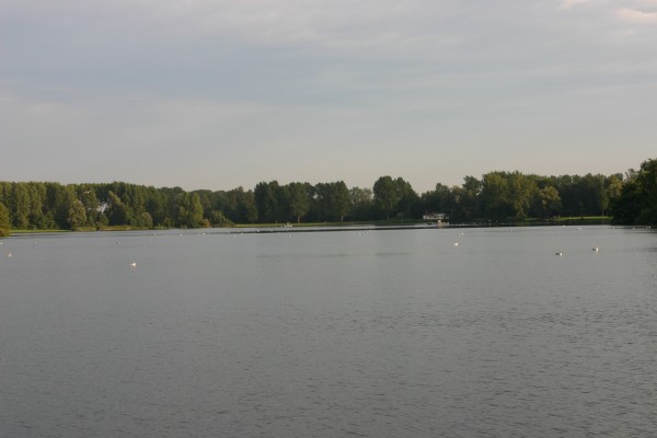 Click for the original image