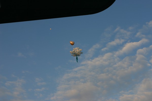 Click for the original image