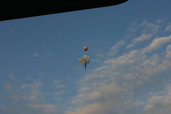 Click for the original image