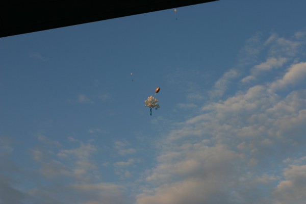 Click for the original image