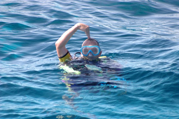 Click for the original image